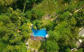 Jungle Village